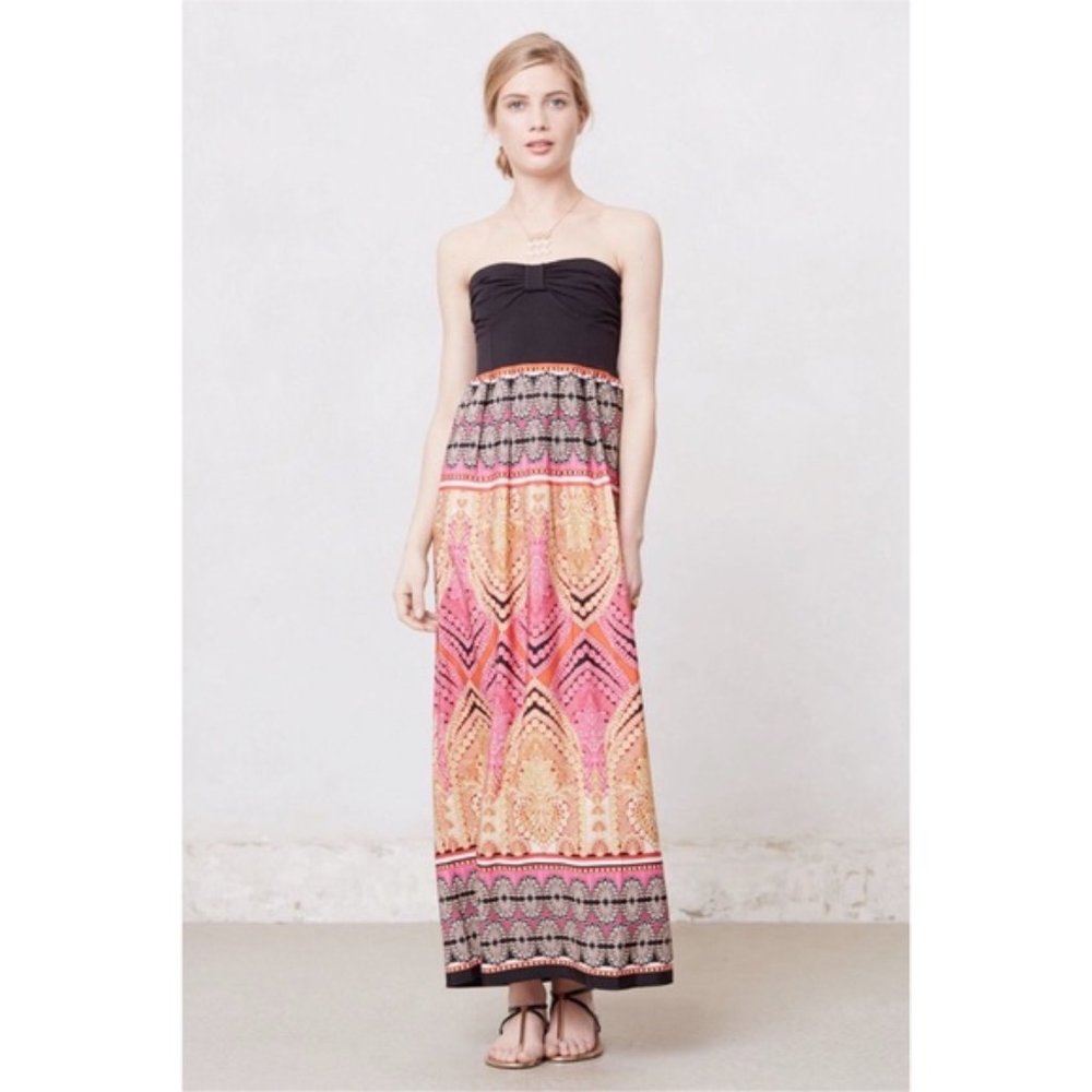Anthropologie Border Print Maxi Dress Large